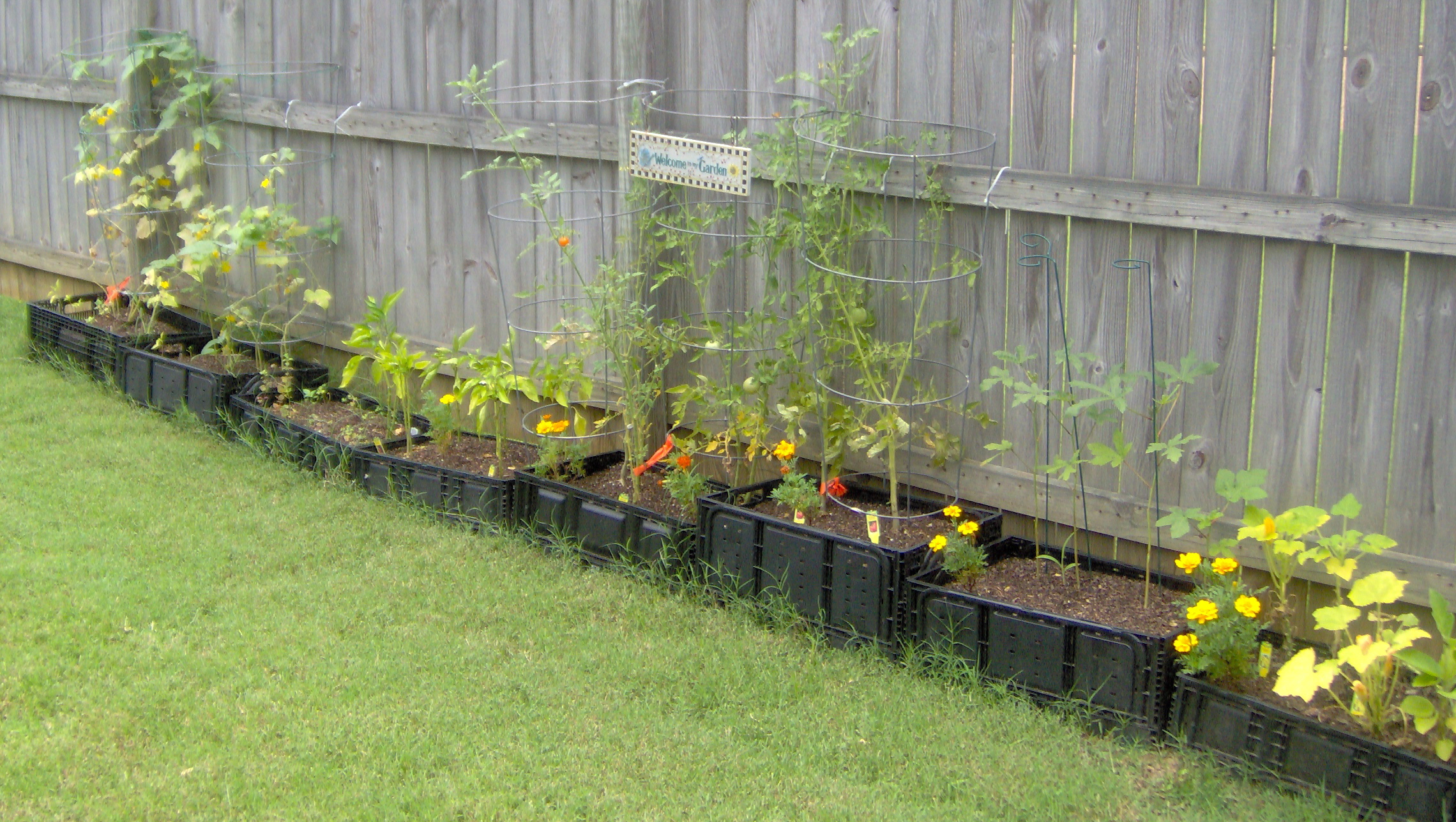 square foot garden